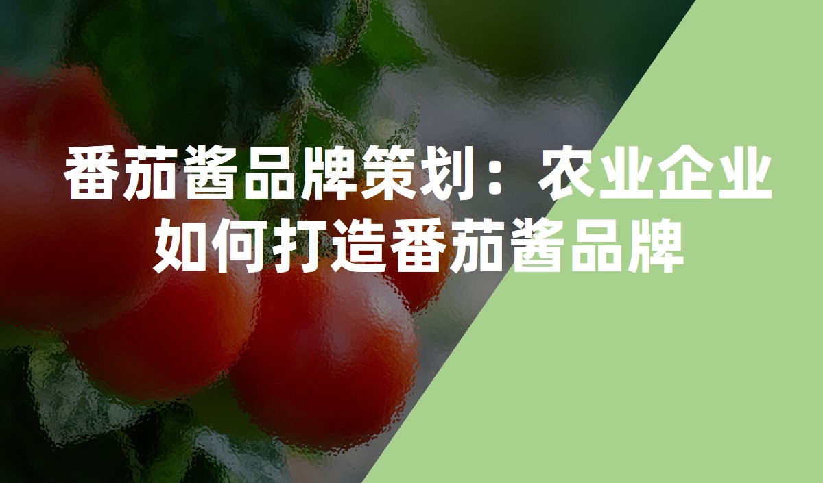 番茄醬品牌策劃：農業企業如何打造番茄醬品牌